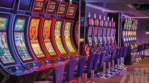 mwplay platform features — sports betting, fish games, and mobile access for Philippines players